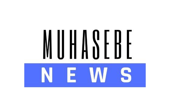 Muhasebenews.com