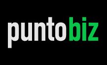 Puntobiz.com.ar