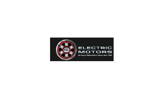 Electricmotorsnews.com