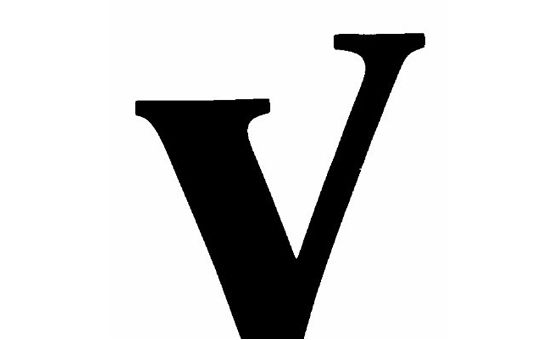 The Voice News