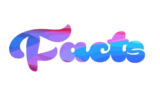 Bestfactsabout.com