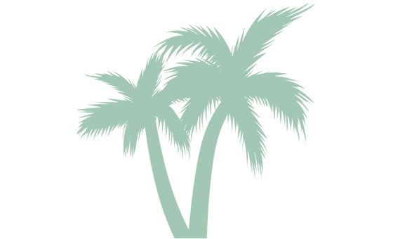 Canary-vibes.com Canary-vibes.com
