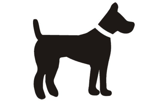 Honden Passie
