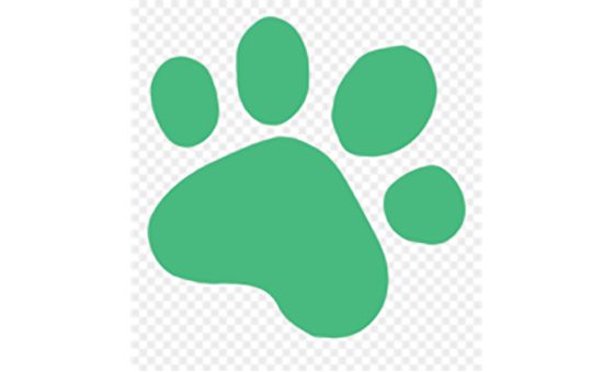 Dog Lime Dog Lime