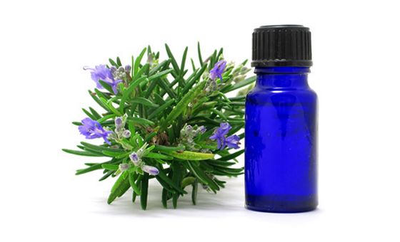 Plantas-medicinales.es