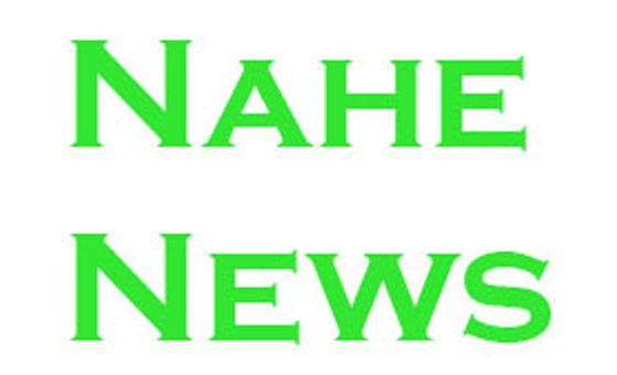 Nahe-news.de
