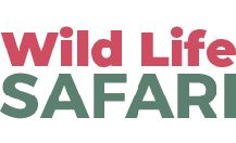 Wildlife Safari
