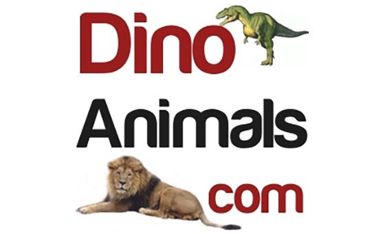 Dino Animals Dino Animals