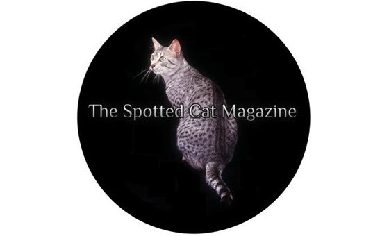 Thespottedcatmagazine.com Thespottedcatmagazine.com