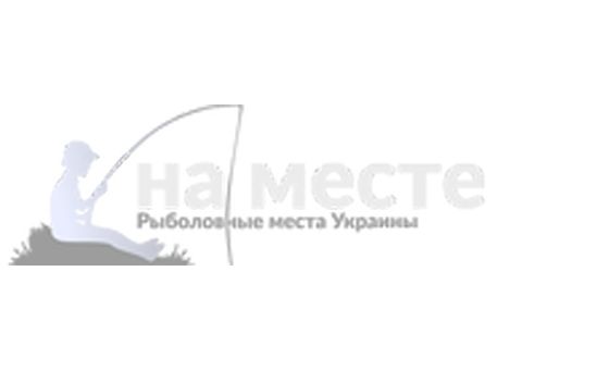 Nameste.com.ua