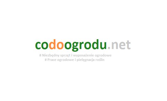 Codoogrodu.net