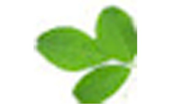 Milagil.com Milagil.com