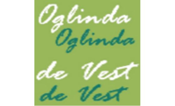 Oglindadevest.ro