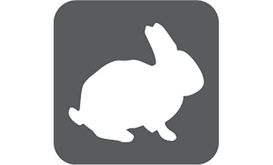 Euamomeusanimais.com.br