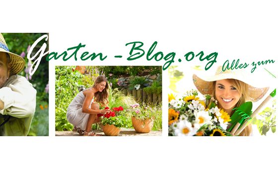 Garten-blog.org