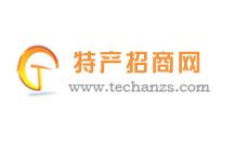 Techanzs.com