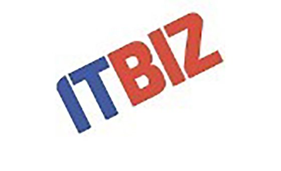 IT Biz