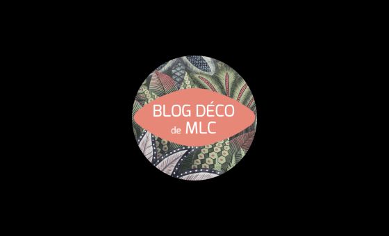 Leblogdecodemlc.com