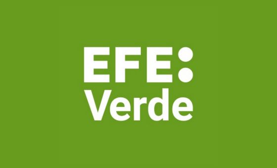 Efe Verde Efe Verde
