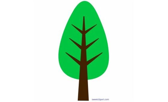 Paramo.org Paramo.org