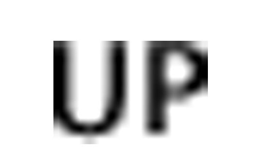 Unique Posting Unique Posting