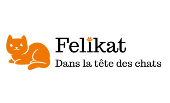 Felikat