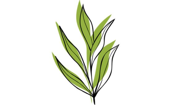 CleanGo France