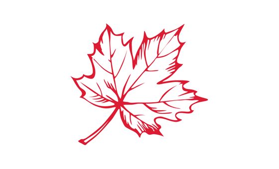 Faszination-kanada.com Faszination-kanada.com