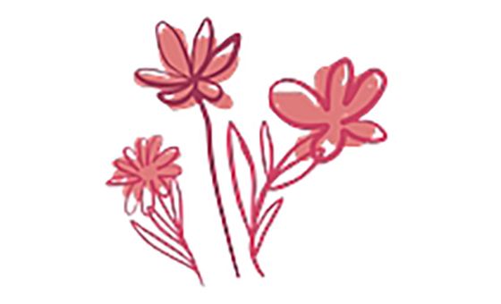 Vrouwen Primeur