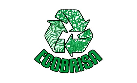 Ecobrisamanualidades.com Ecobrisamanualidades.com