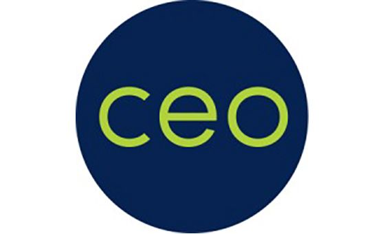 Ceo-review.com Ceo-review.com