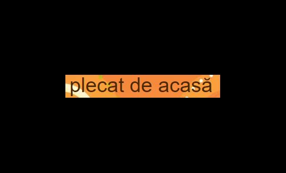 Plecatdeacasa.net