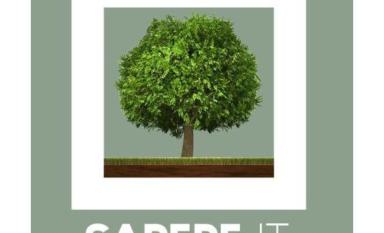 Sapere.it