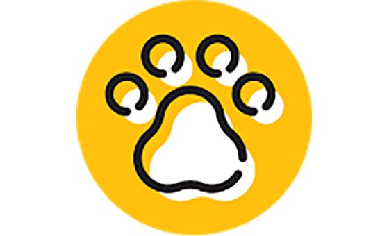 Bubbly Pet Bubbly Pet