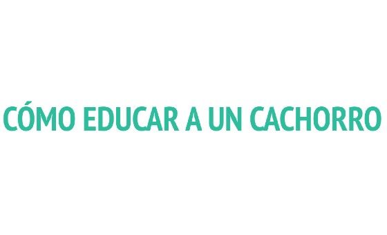 Comoeducarauncachorro.com Comoeducarauncachorro.com