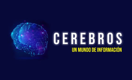 Cerebros Cerebros