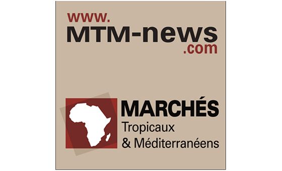 Mtm-news.com Mtm-news.com