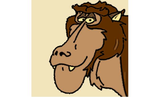 Baboon Project