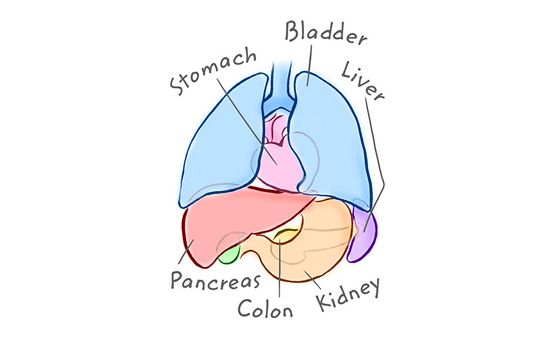 Medchrome.com Medchrome.com