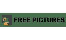 Freepictures.nl