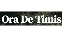 Oradetimis.ro