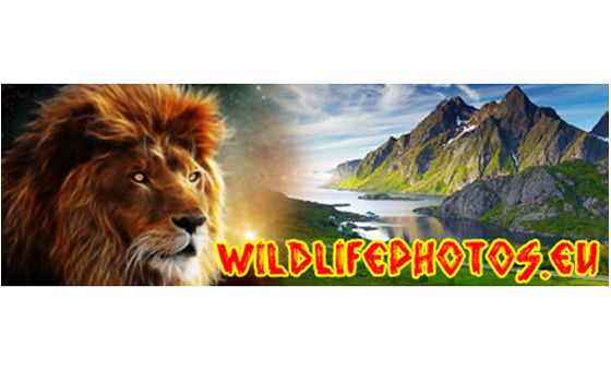 Wildlifephotos.eu