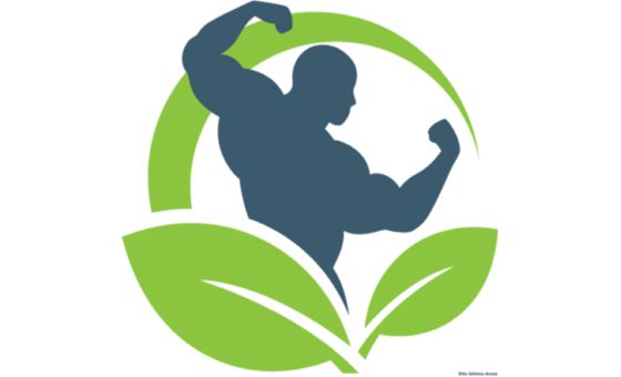Elite Athlete Arena