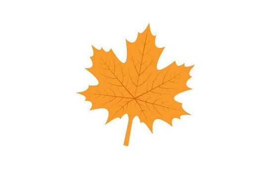 Monkeskateclothing.com Monkeskateclothing.com