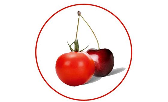 Tomate-cerise.be Tomate-cerise.be