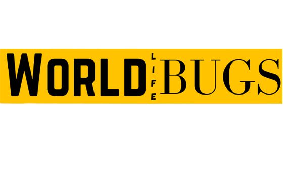 Worldlifebugs.com