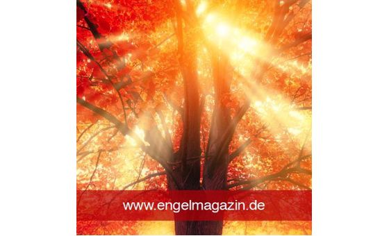 Engelmagazin.de