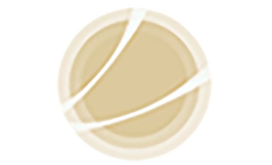 Modelopresentacion.com