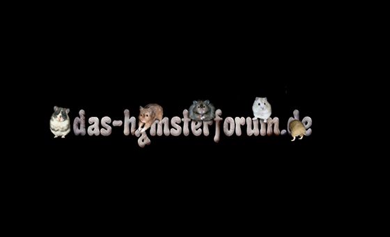 Das Hamster Forum
