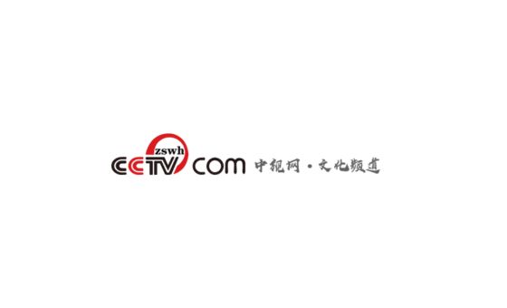 Cctvzswh.com